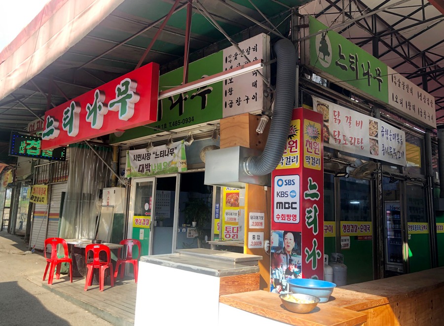 느티나무1web.jpg